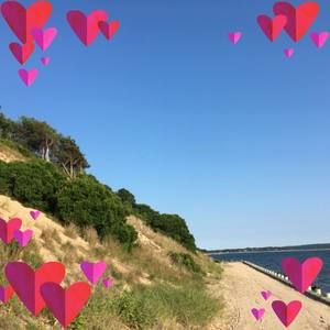 Meet your Posher, Lucy